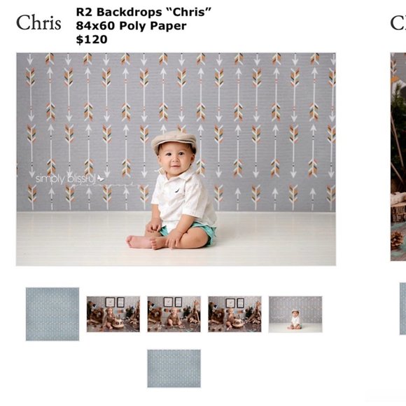 R2 Backdrops Professional Background for Photography - "Chris" 84x60 - Picture 1 of 3